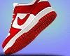 Dunks Red White 25 B/S