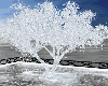 Frozen Tree + Snow