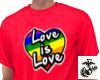 Love Is Love Tshirt M