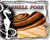 Shell Poses