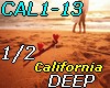 CAL1-13 -* pt1