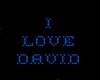 I Love David Tee