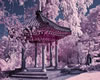 Sakura Garden Background