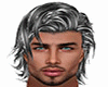 gray  highlights Marc