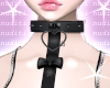 Harness