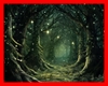 Fantasy Picture
