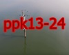 PPK - ResuRection2