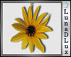 Lu)Sunflower Necklace