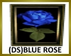 (DS)framed blue rose
