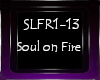 Soul On Fire