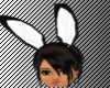 animate bunny ears