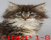 7 PUSSYCAT - TIBDP