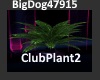 [BD]ClubPlant2
