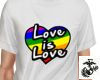 Love Is Love Tshirt M