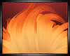 LS~CRAZY FIRE