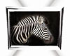 DB Zebra Picture