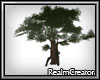 (RC) Forgotten Tree 1