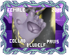 Stormy Paws