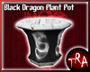 Black Dragon Plant Pot