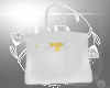 (BR) White Purse CT1