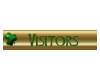 St.Patrick-Visitors