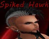 [H]SpikedHawk Blk