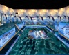 dolphins paradise club
