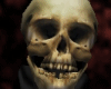Skull Head (F)