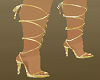 GOld Laced Up Shoes