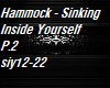 Hammock-Sinking InsideP2