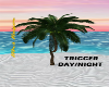 SHIPWRECK DAY/NGHT PALM3
