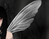 wings of the fae