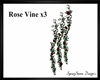Red Rose Ivy x3