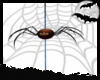 Animated Spider Derivabl