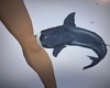 shark anim