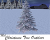 Christmas Tree Outdoor