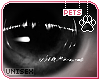 [Pets] Vimi | eyes v3