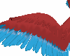 macaw wings