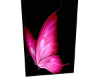 A, Pink