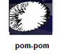 Pom Pom by Agallisa