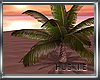 HK♠Small Palm Tree