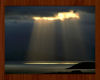 Twilight Series #1