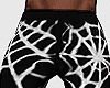 Spider Web Pants ᶠˣ