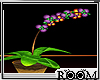 !ROOM Orchid