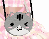 Cat Bag