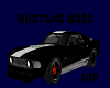 {JUP}Mustang Boss Racing