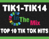 Tik Tok Top 10 Hits