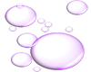 Bubbles - Transparent