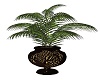 MJ-Leopard pottd planter
