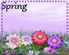 {NF} spring